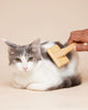 CAT Slicker Brush - Gift