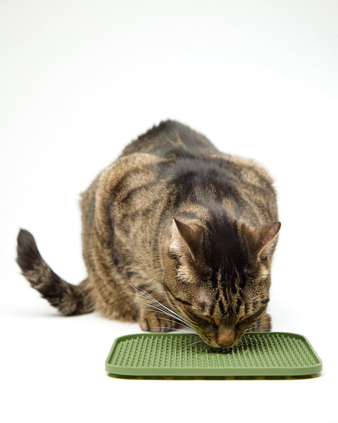 CAT Lick Mat - Free