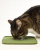 CAT Lick Mat