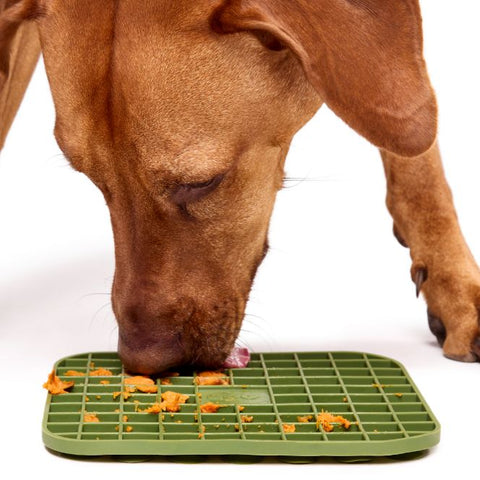DOG Lick Mat - Free