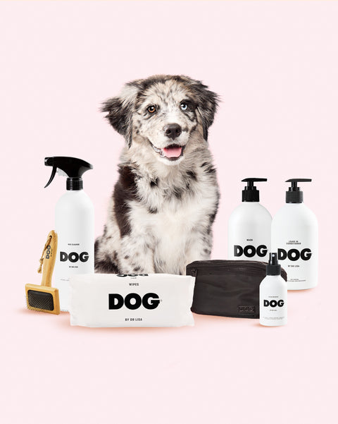 Puppy Set