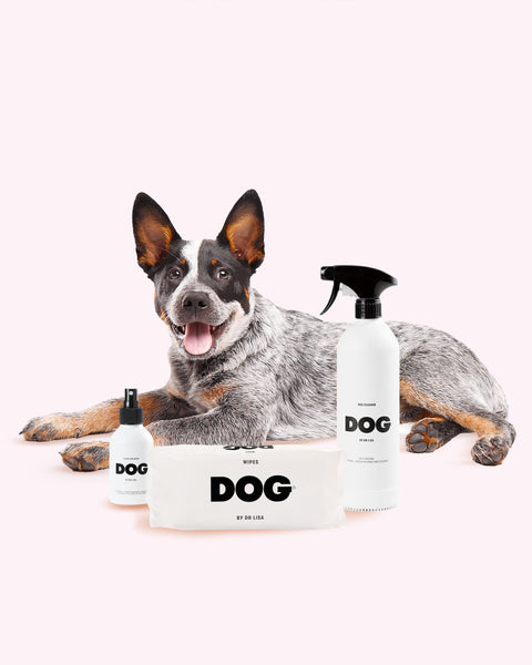 Pee Clean-Up Set