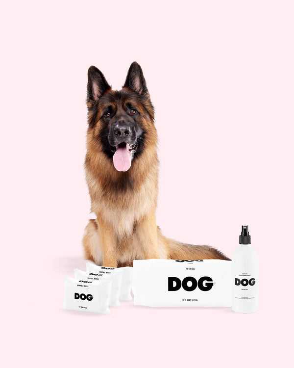 Daily Essentials Set