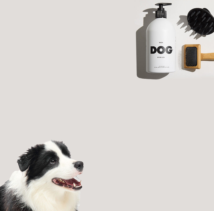 Dog Suppplies – DOG by Dr Lisa US