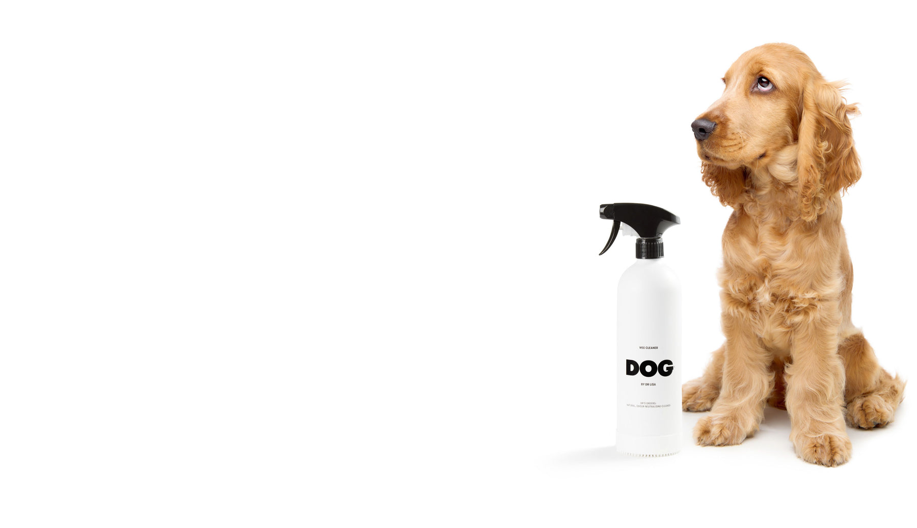 Wee Cleaner DOG by Dr Lisa US