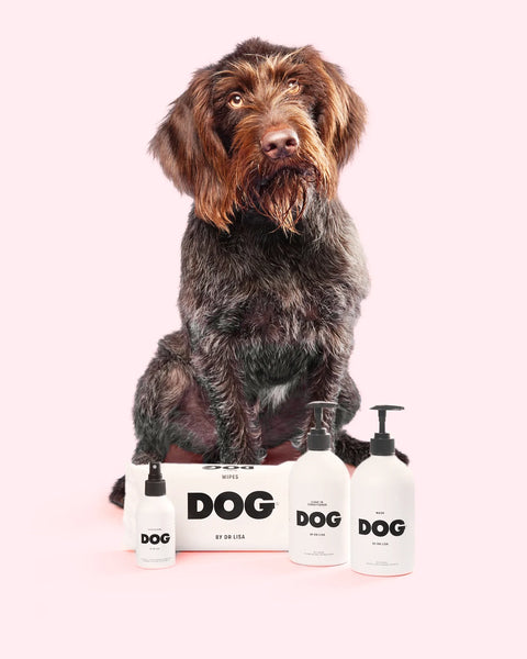 DOGStarterSet_grande.webp?v=