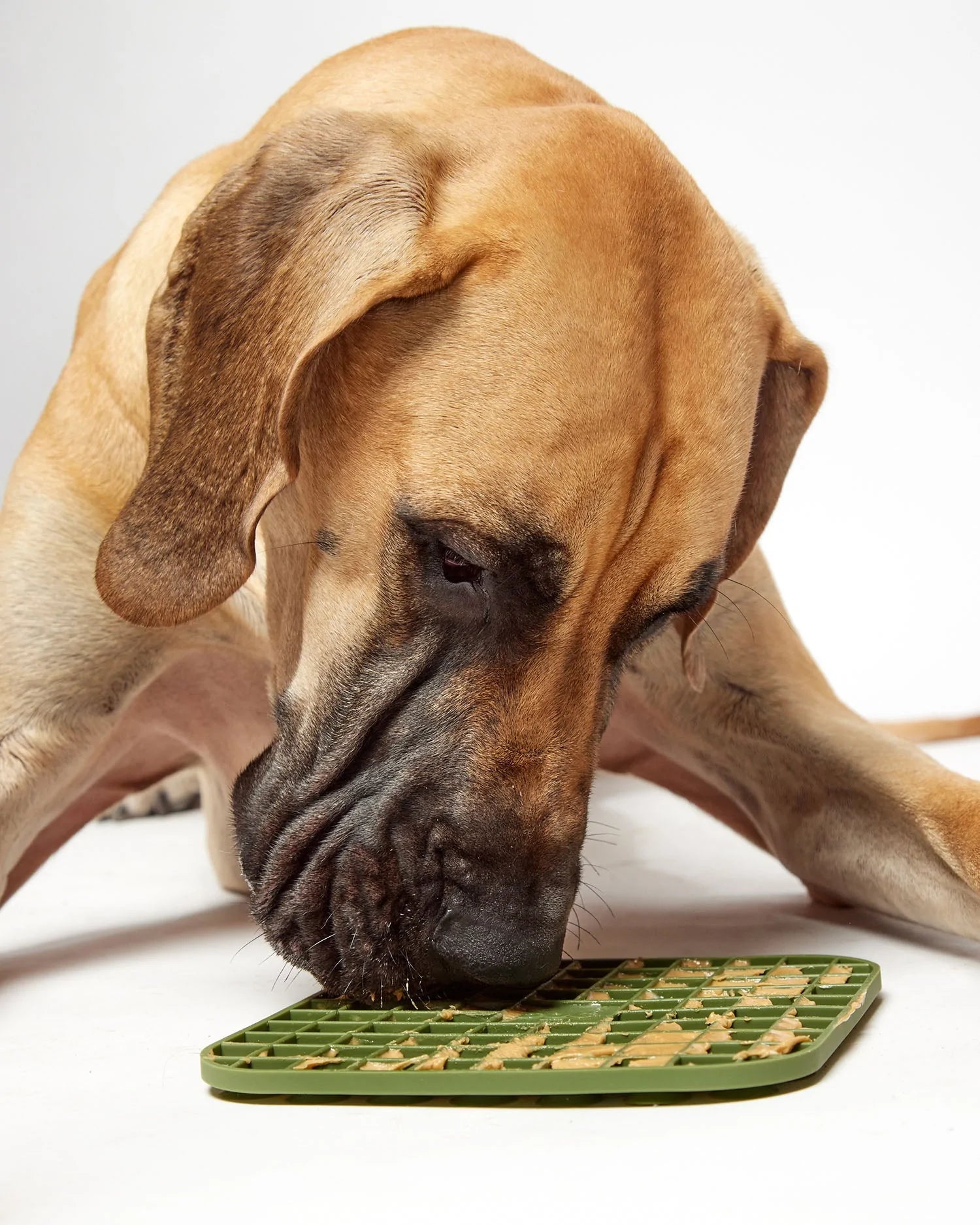 DOG Lick Mat DOG by Dr Lisa US