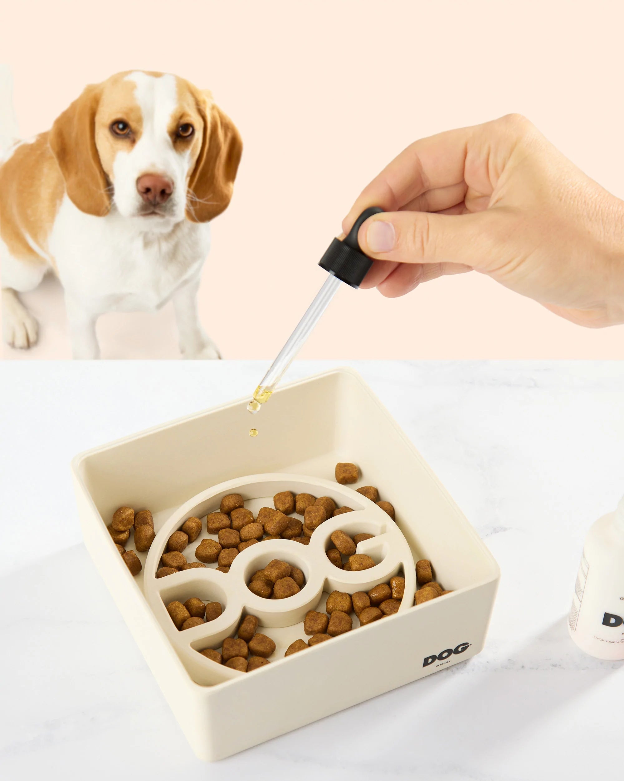 Dog foods with clearance omega 3