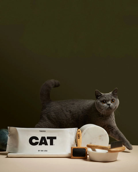 CAT No Wash Set