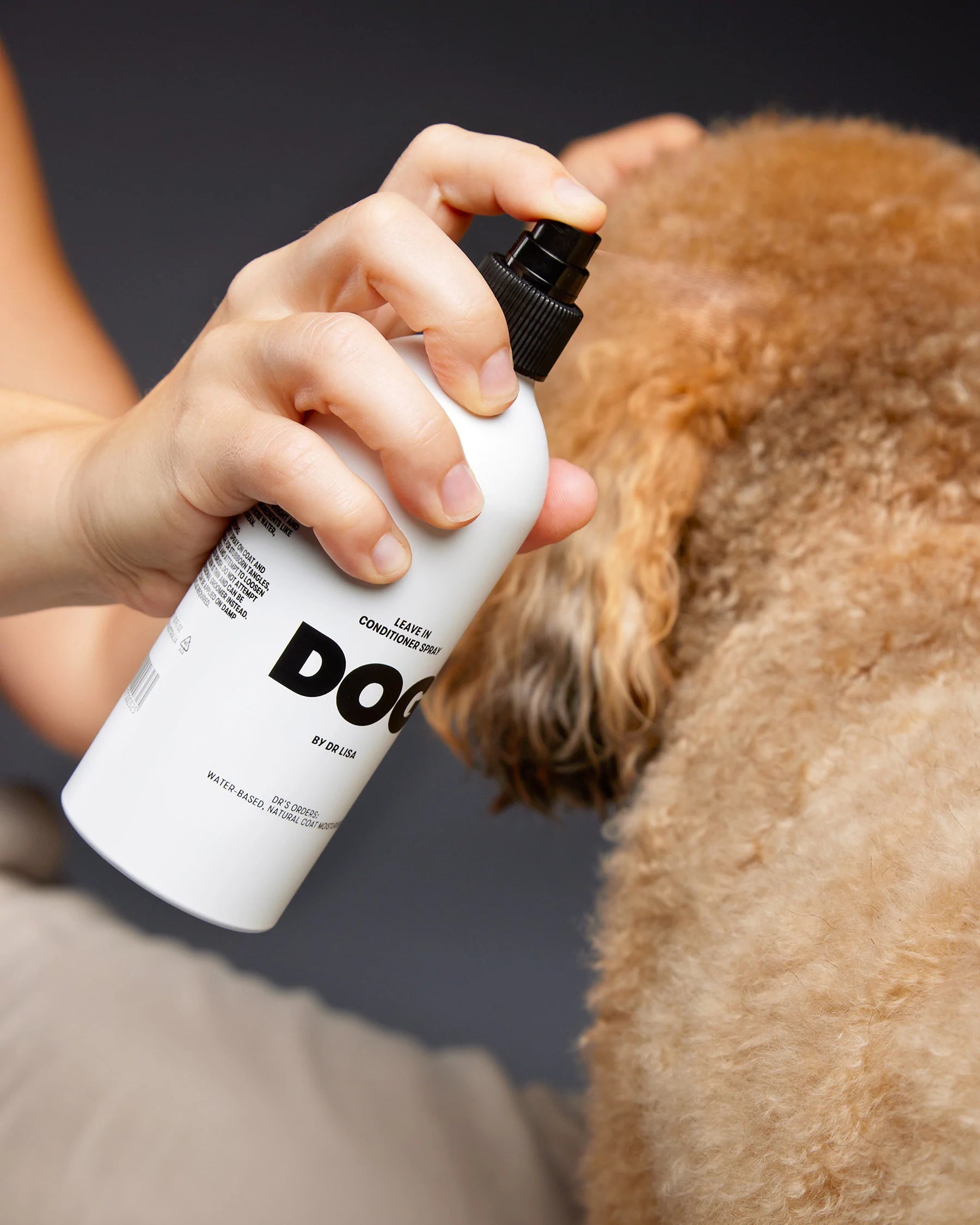 Poodle conditioner sales