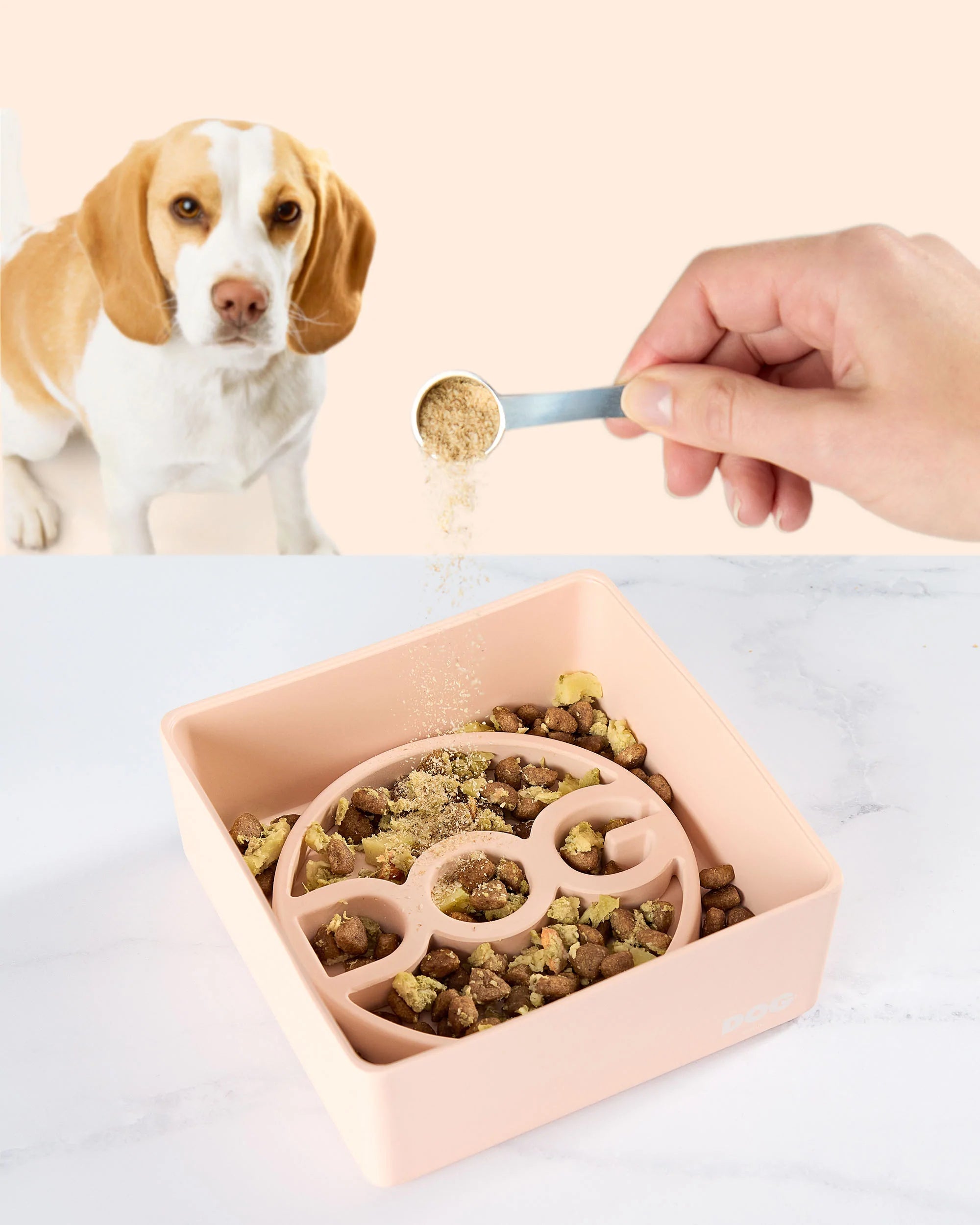 How to 2024 soften dog stool