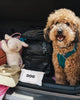 DOG Travel Wipes - 6 Pack